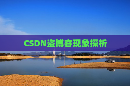 CSDN盗博客现象探析 CSDN盗博客现象探析